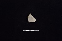 陶片藏品圖，第1張